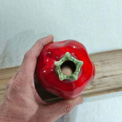 רימון קרמיקה אדום עם כתר ירקרק