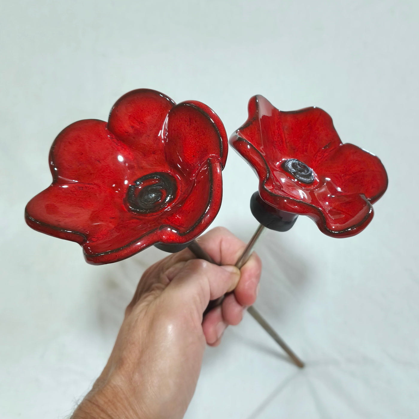 פרח קרמיקה לנוי, כלניות קרמיקה אדומות