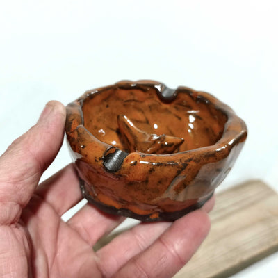 מאפרה  פראית בכתום  עם ציפור