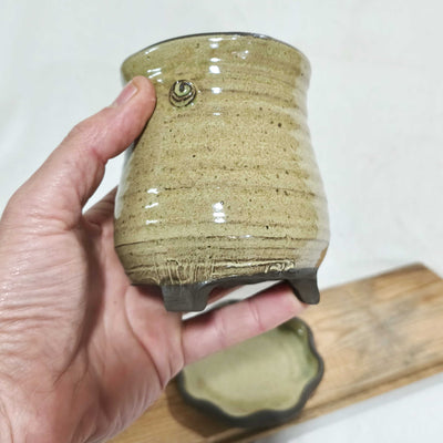 כלי למברשות שיניים , ירוק