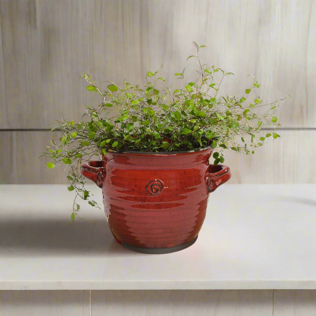 כלי למברשות שיער או לעציץ