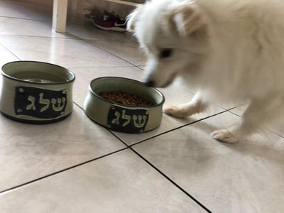 קערת מים ואוכל לכלב בהתאמה אישית