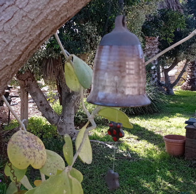 פעמון רוח גדול, אפור חום,